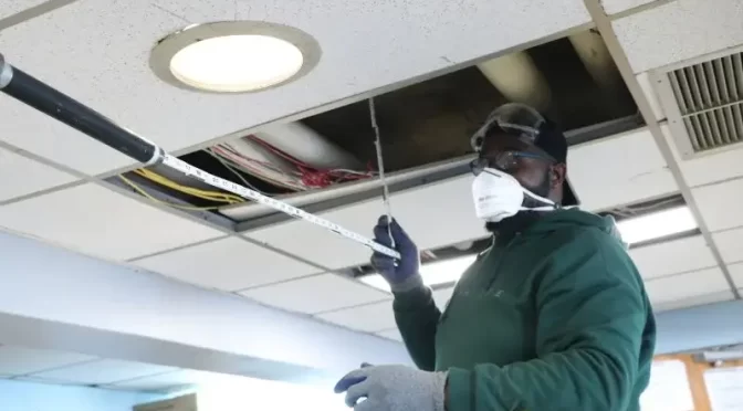 What Is The Future Of Trade Education In The USA?